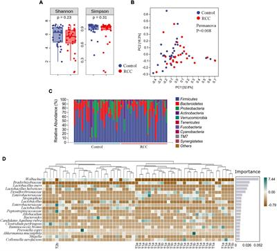 Alteration of pro-carcinogenic gut microbiota is associated with clear cell renal cell carcinoma tumorigenesis